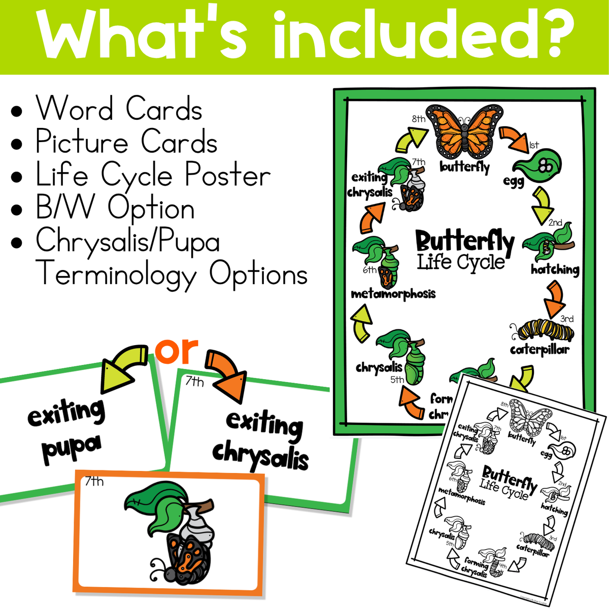 Sequencing Card Game for Butterfly Life Cycle | Science Games