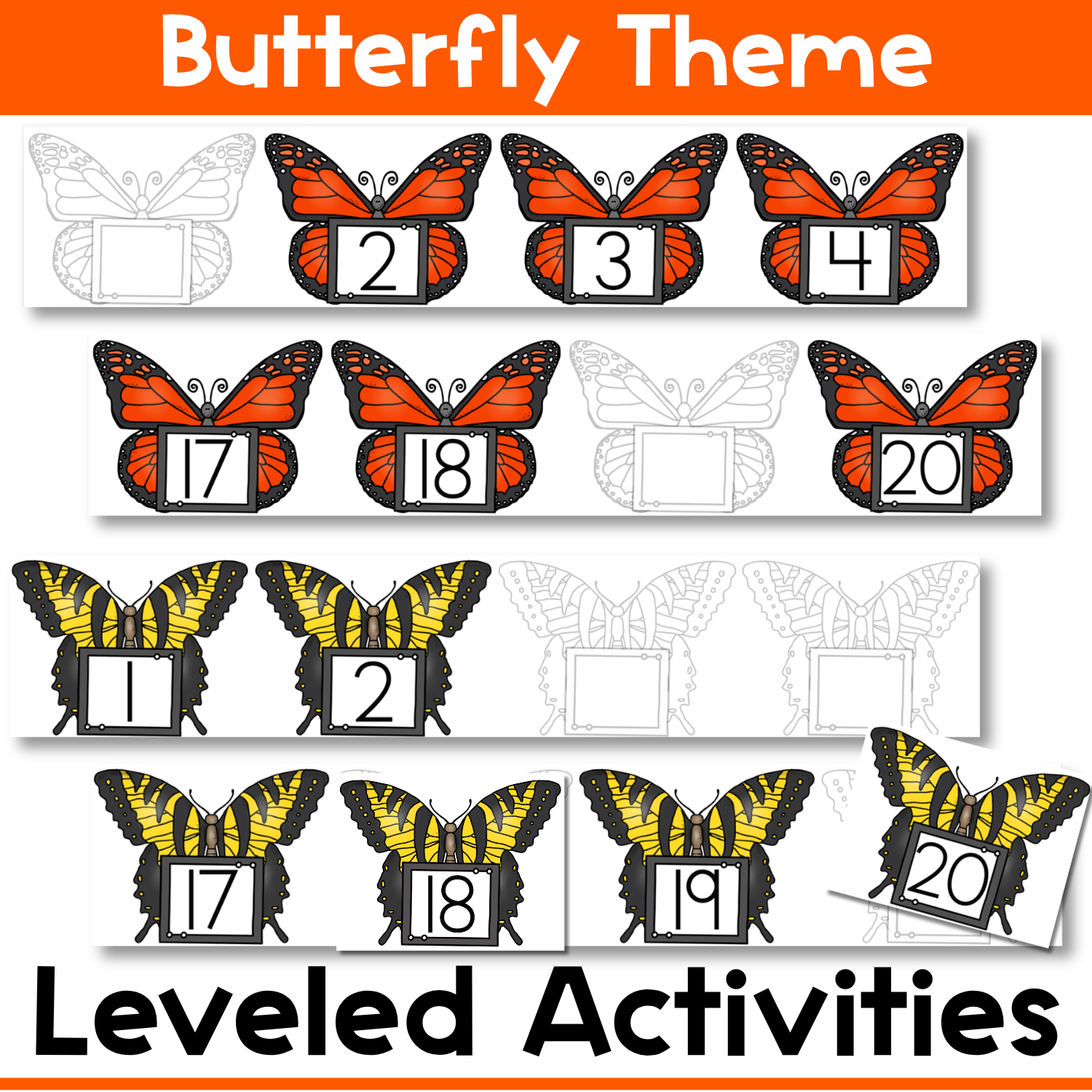 Butterfly Life-Cycle Missing Number