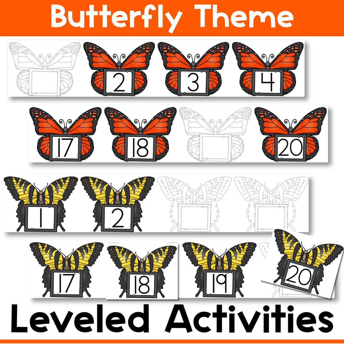 Butterfly Life-Cycle Missing Number