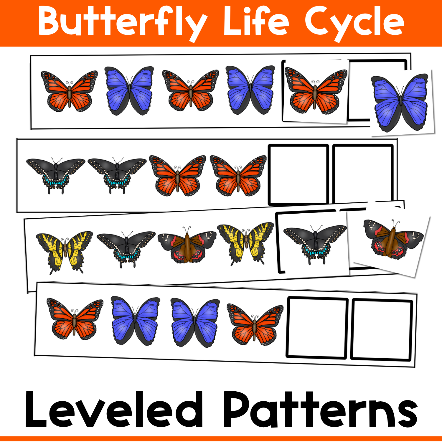 Butterfly Life-Cycle Puzzles for Numbers 1-20