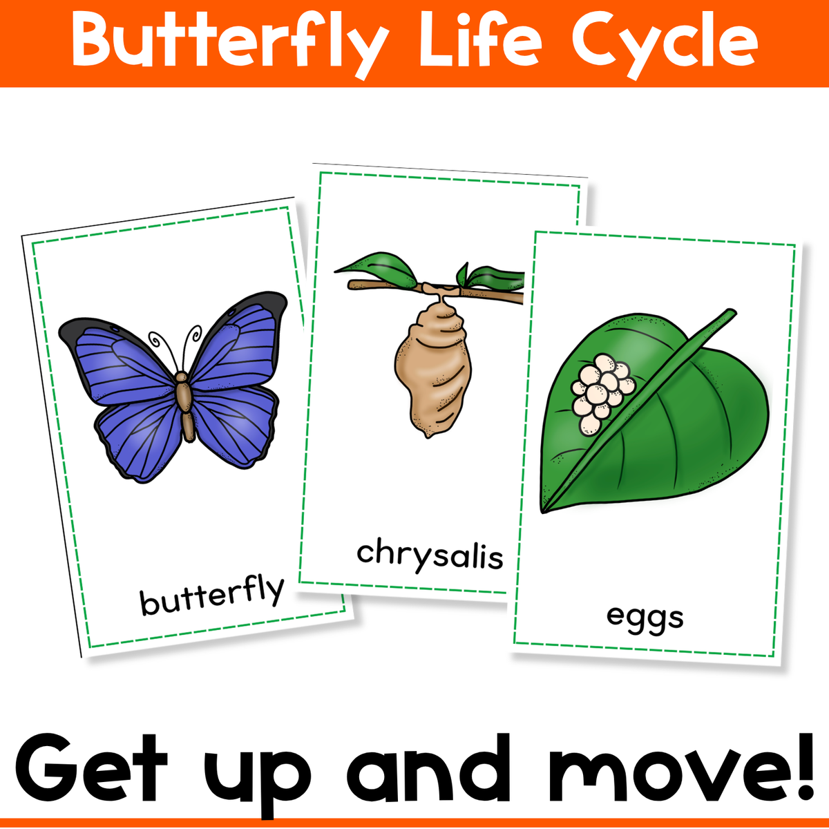 Butterfly Life Cycle Write the Room