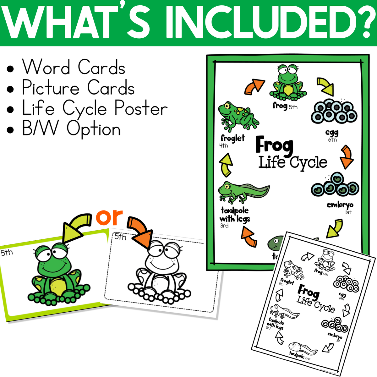 Frog Life Cycle War! Card Game