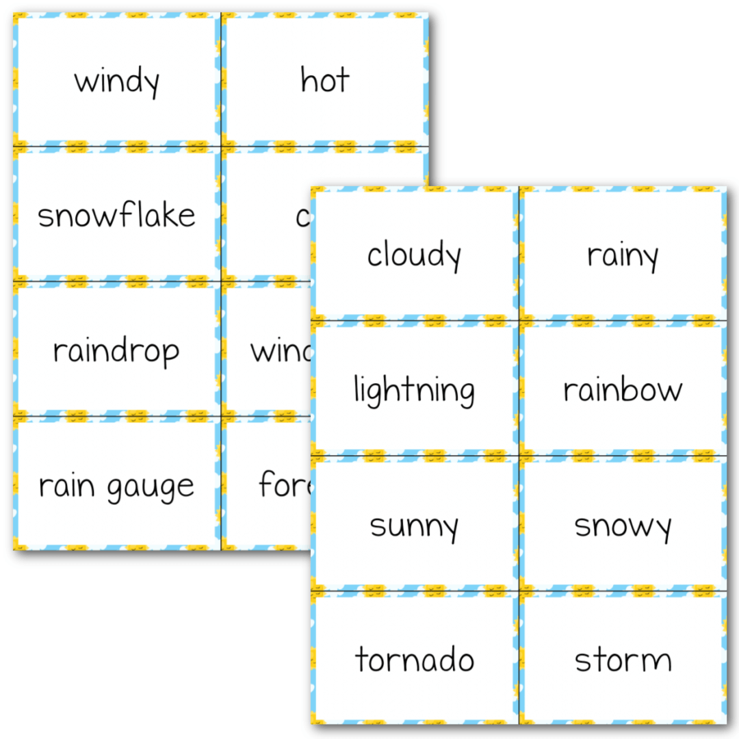 Weather Slap It! Card Game