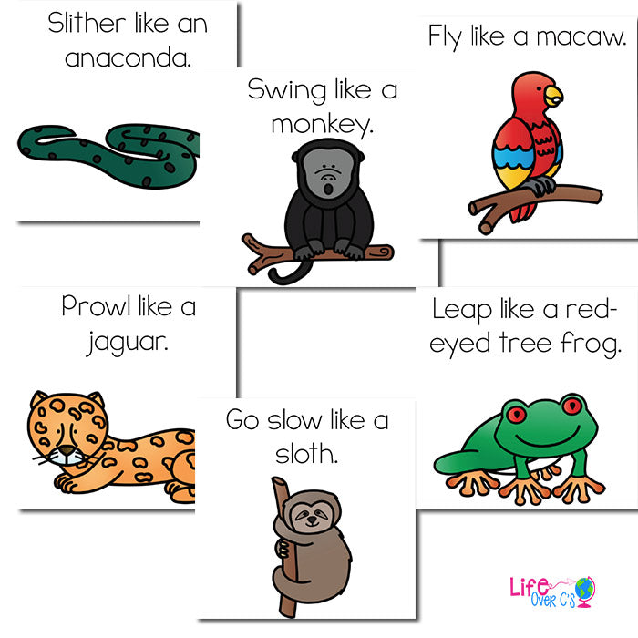 Brain Break Cube | Rainforest Animal Theme
