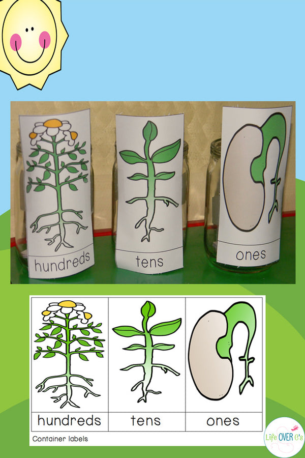 These themed base-ten manipulatives make learning place value so much fun! This set has a different part of the plant life cycle for each place value. So cool!