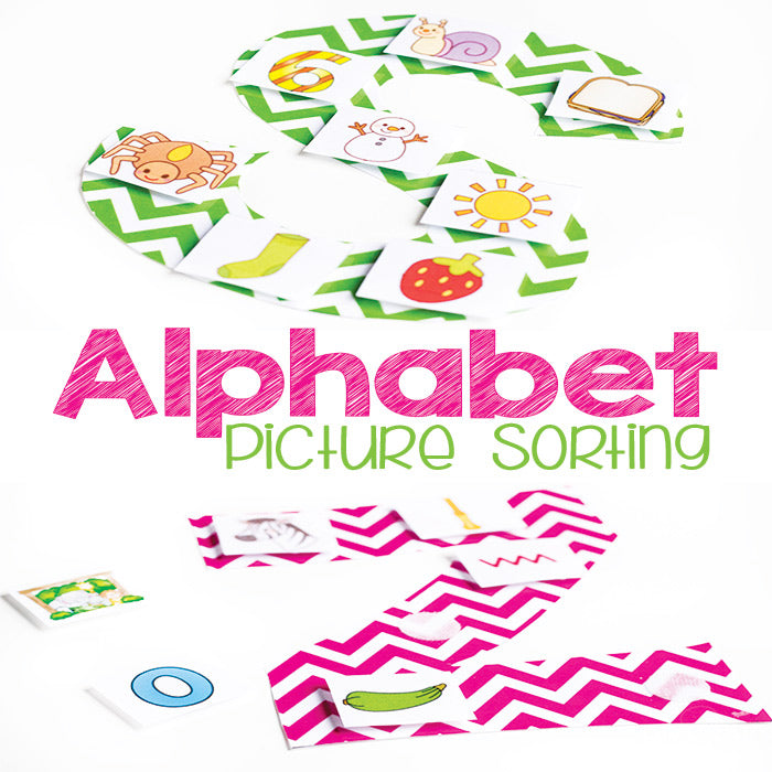 Work on beginning sounds with your new readers with these fun alphabet picture sorts. Black & white alphabet available for individual student sheets.