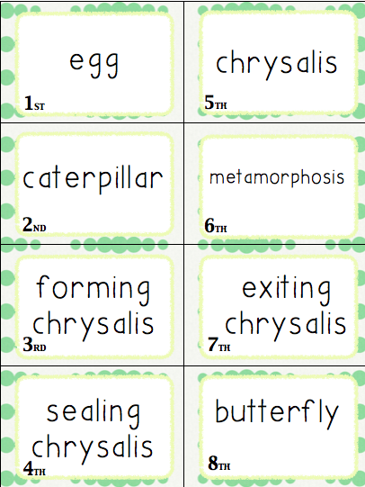 Have a blast learning the butterfly life cycle with this fun butterfly life cycle sequencing card game. Your students will love this!