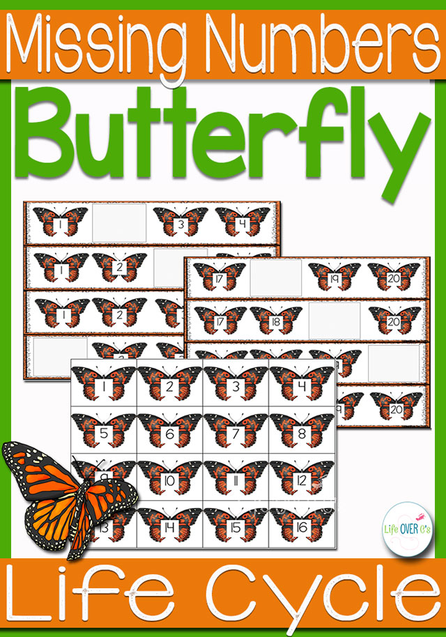 Butterfly Life-Cycle Missing Number