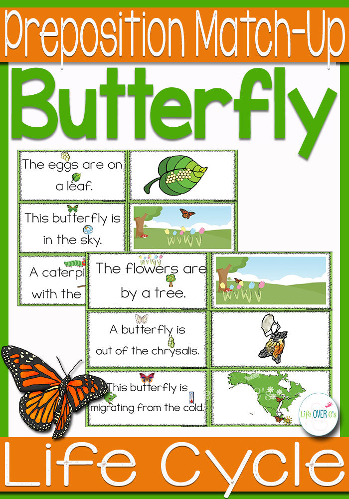 Butterfly Life-Cycle Preposition Match Up