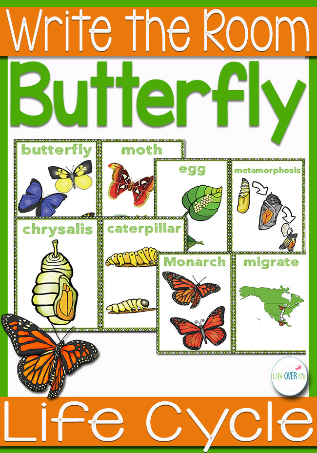 Butterfly Life Cycle Write the Room