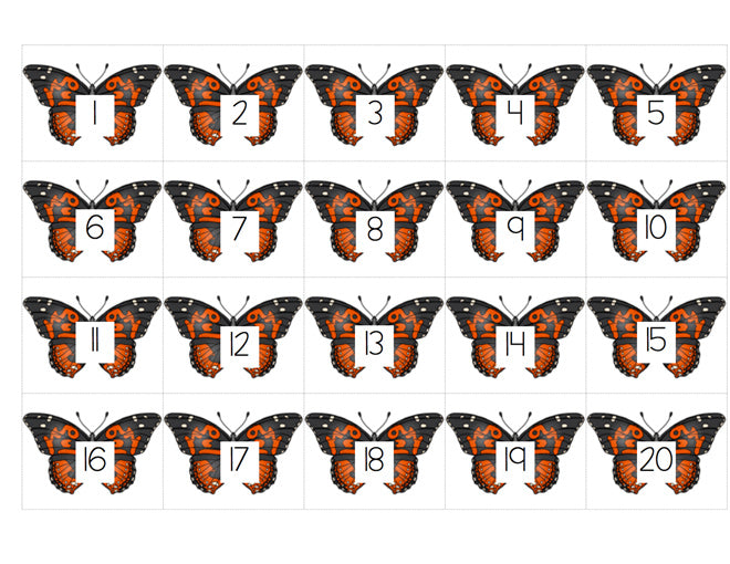 Butterfly Life-Cycle Missing Number