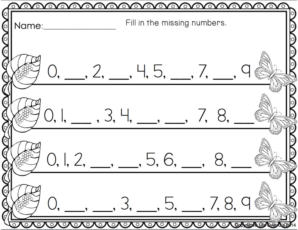 Butterfly Life-Cycle Missing Number