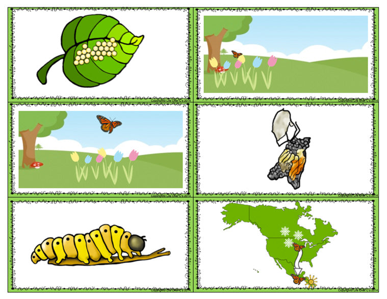 Butterfly Life-Cycle Preposition Match Up