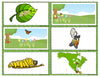 Butterfly Life-Cycle Preposition Match Up