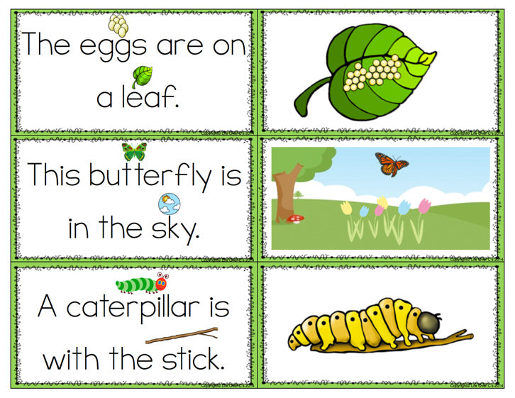 Butterfly Life-Cycle Preposition Match Up