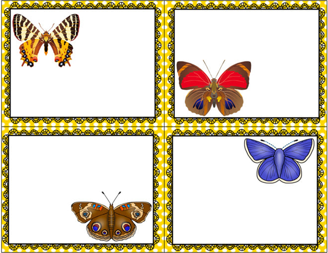 Butterfly Life Cycle Sorting Activity