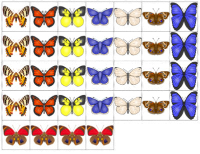 Butterfly Life Cycle Sorting Activity