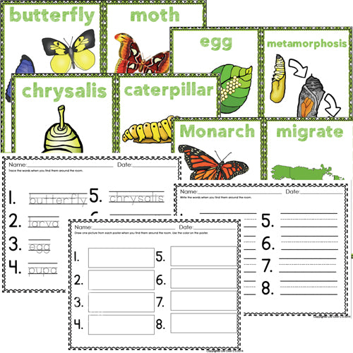 Butterfly Life Cycle Write the Room