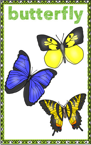 Butterfly Life Cycle Write the Room