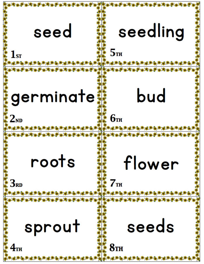 This sunflower life cycle sequencing game is so much fun!! Kids play to see who is further along in the stages of the sunflower life cycle. Great for a life cycle unit or for fall!
