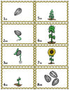 This sunflower life cycle sequencing game is so much fun!! Kids play to see who is further along in the stages of the sunflower life cycle. Great for a life cycle unit or for fall!